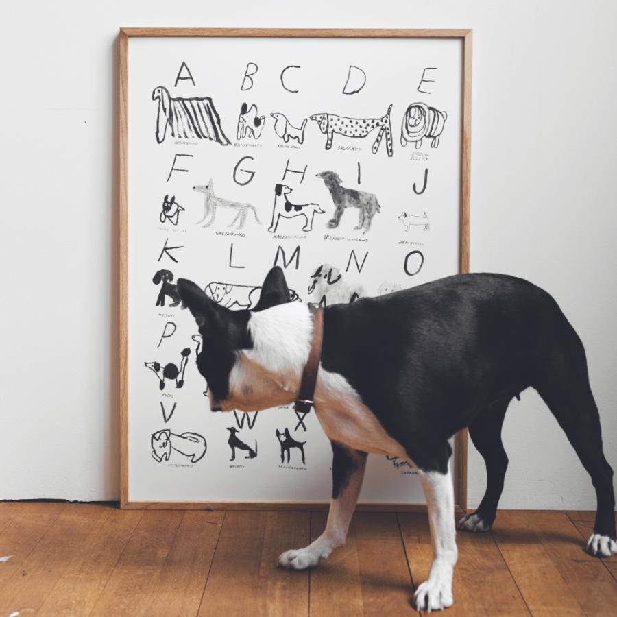 アート ポスター ファインリトルデイ ABC DOGS POSTER 犬 50x70