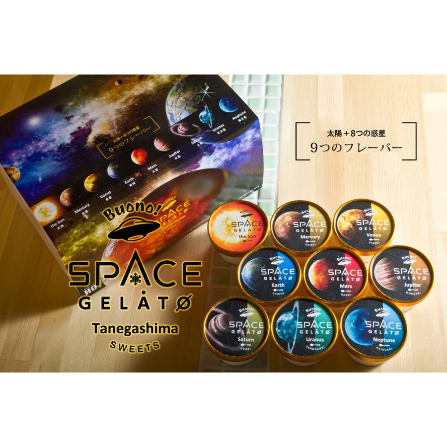 種子島 スペースジェラート 9個セット ジェラート アイス C-SPS : いろ