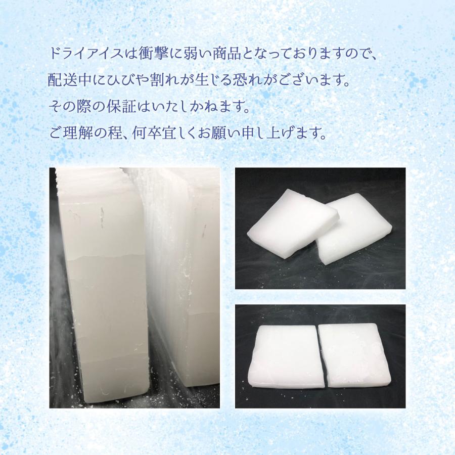 ドライアイス 保存 冷凍庫 食品 の商品一覧 通販 Yahoo ショッピング