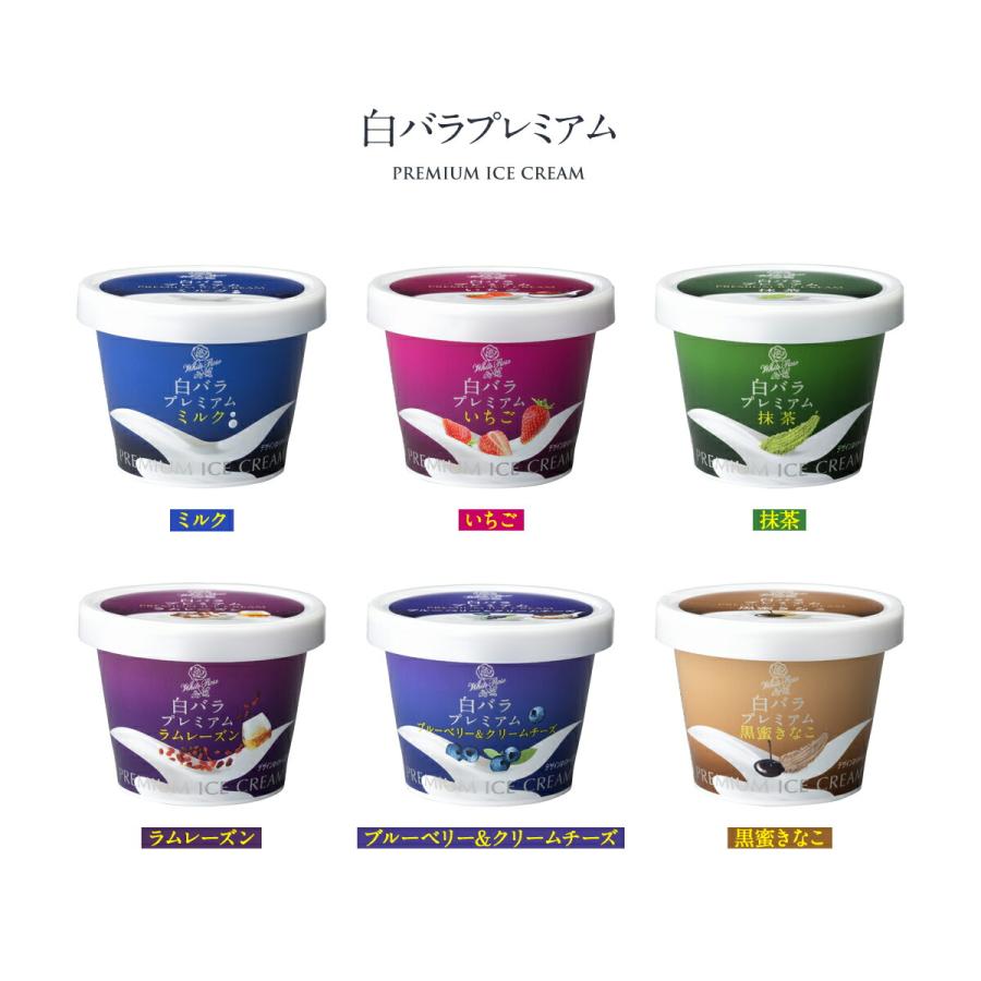 プレミアムバラエティボックス 　厳選ブランドアイス２２個の詰め合わせ セット  ギフト PV-22 | ハーゲンダッツ | 02