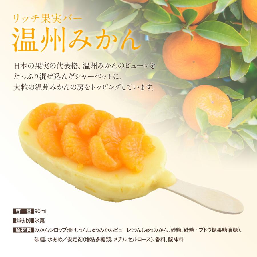 プレゼント  果果実のしずく （リッチ果実バー・新まるごと苺アイス) スタンダード ギフト グルメ セット |  | 02