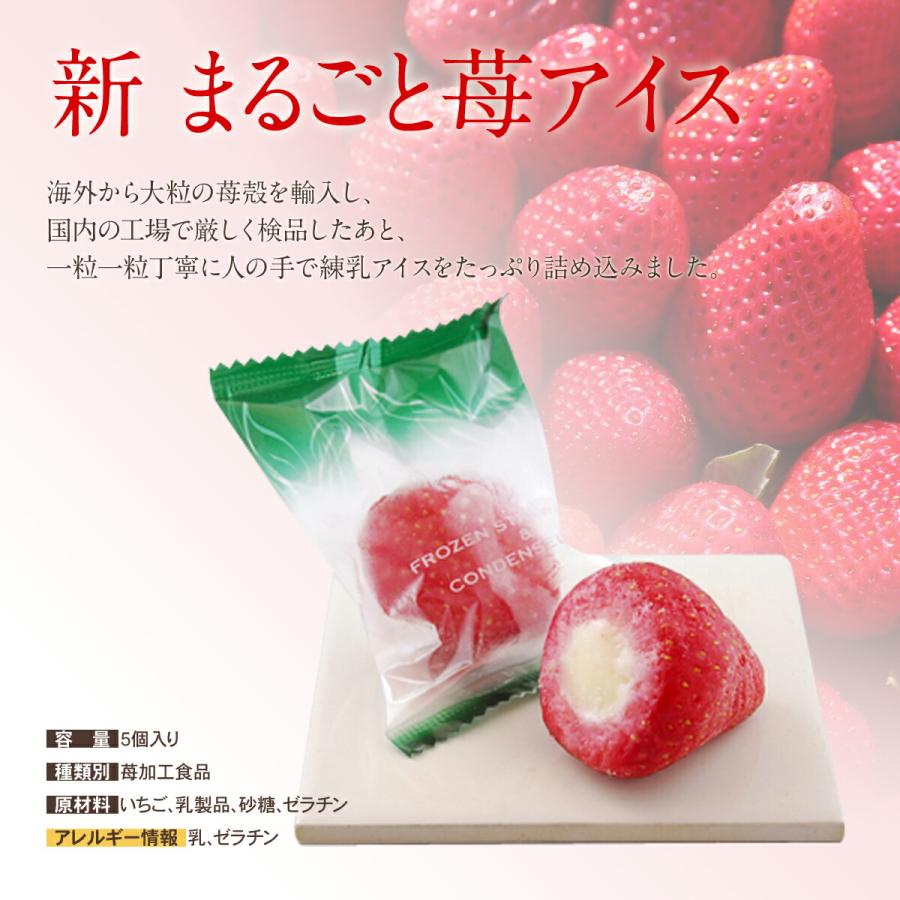プレゼント  果果実のしずく （リッチ果実バー・新まるごと苺アイス) スタンダード ギフト グルメ セット |  | 06