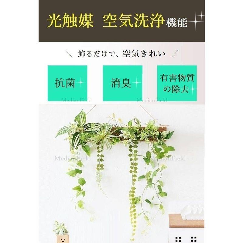 日本買取 光触媒 人工観葉植物 抗菌消臭 ウォールグリーン14081 植物