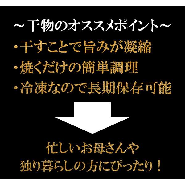 国産干物セット 母の日 父の日 お中元 送料無料 干物 一夜干し アジ イワシ カサゴ カレイ ホッケ のどぐろ 詰め合わせ ギフト 贈り物 岡山市場海産 Kokusan Enkan01 B 岡山市場海産 通販 Yahoo ショッピング