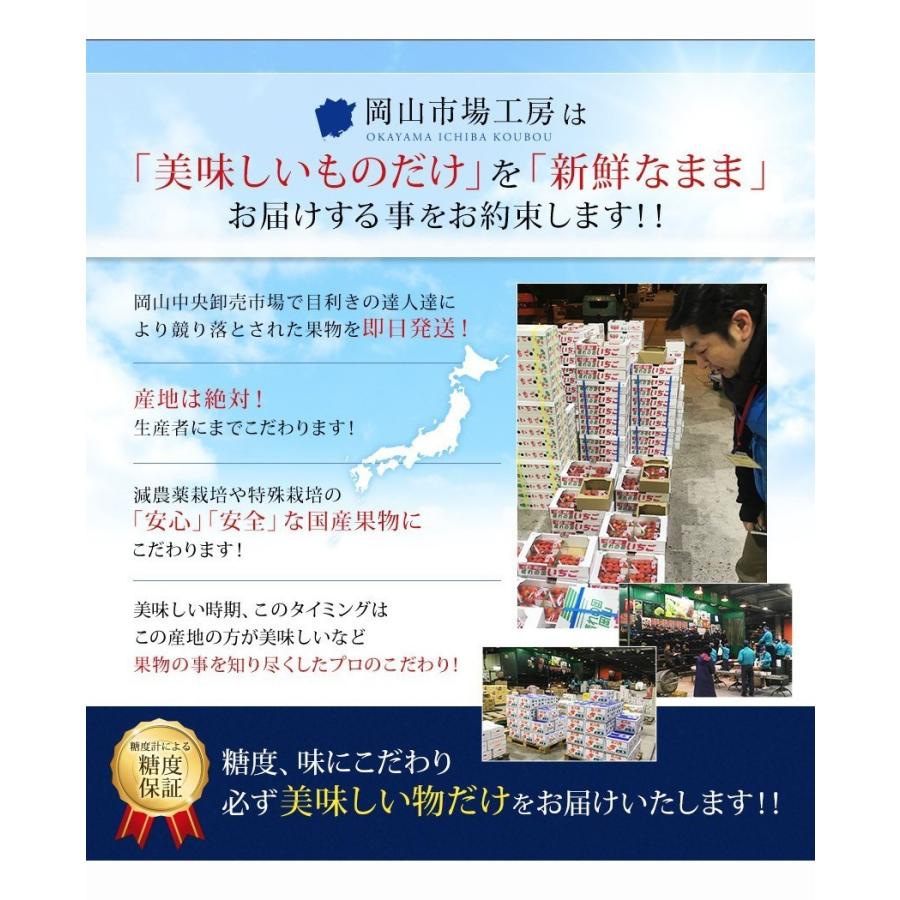 岡山県産 マスカット オブ アレキサンドリア 秀品 600g 1房 葡萄 ぶどう ブドウ ギフト 父の日 夏ギフト 御中元 プレゼント 御礼 御祝 御供 果物 フルーツ｜ichiba-koubou｜07