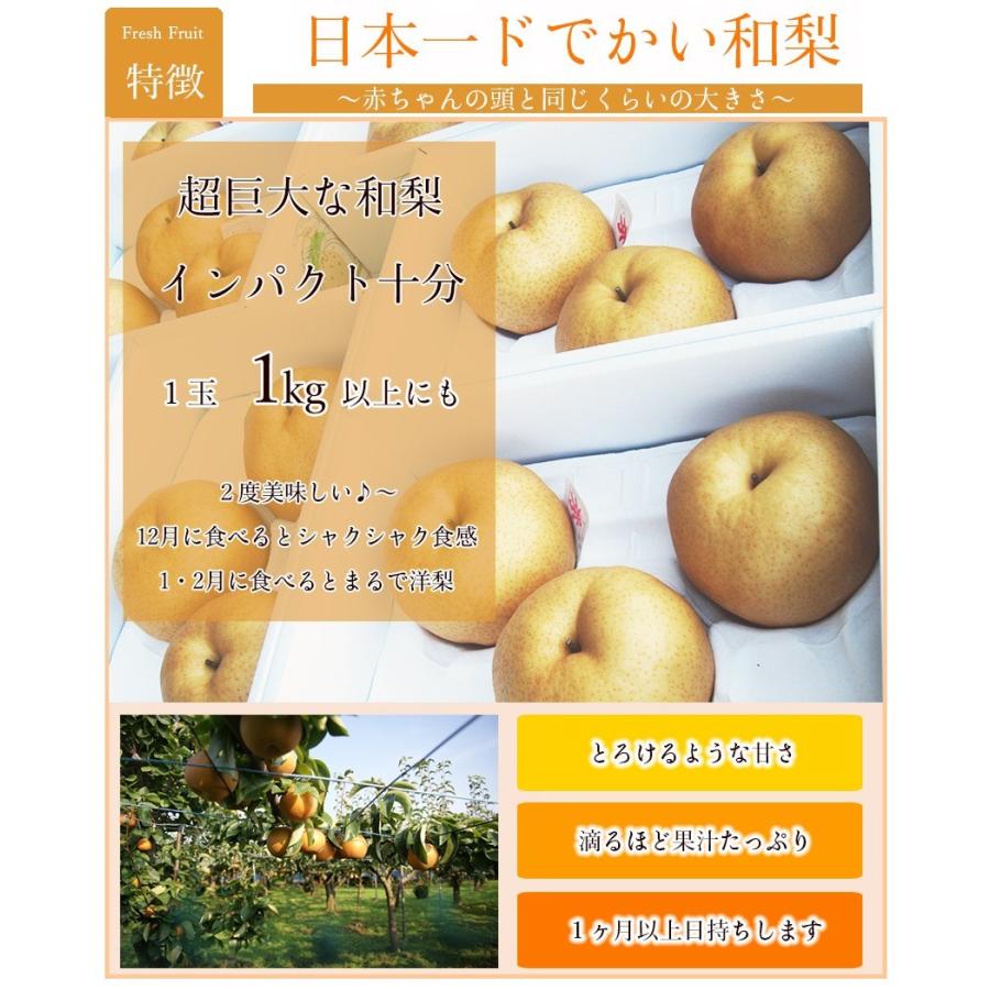 2022 お歳暮 ギフト 岡山県産 あたご梨 2玉 大玉1.8kg 贈答用 お歳暮 ギフト 梨 和梨 愛宕梨 スイーツ 果物 フルーツ 【12月上旬より発送】 :atago2-218-01:岡山市場工房 - 通販 - Yahoo!ショッピング 2022 お歳暮 ギフト 岡山県産 あたご梨 2玉 大玉1.8kg 贈答用 お歳暮 ギフト 梨 和梨 愛宕梨 スイーツ 果物 フルーツ 【12月上旬より発送】 :atago2-218-01:岡山市場工房 - 通販 - Yahoo!ショッピング