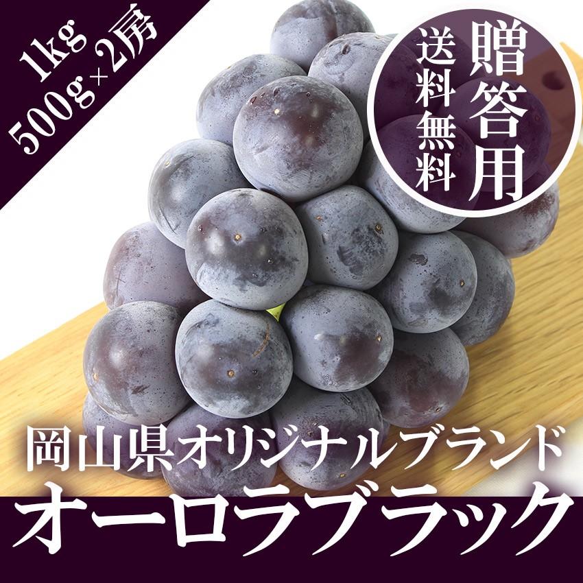 2025 ギフト オーロラブラック 岡山県産 贈答用 2房（500g×2房）贈答用