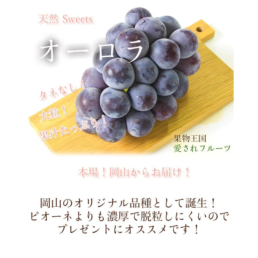 2025 ギフト オーロラブラック 岡山県産 贈答用 2房（500g×2房）贈答用