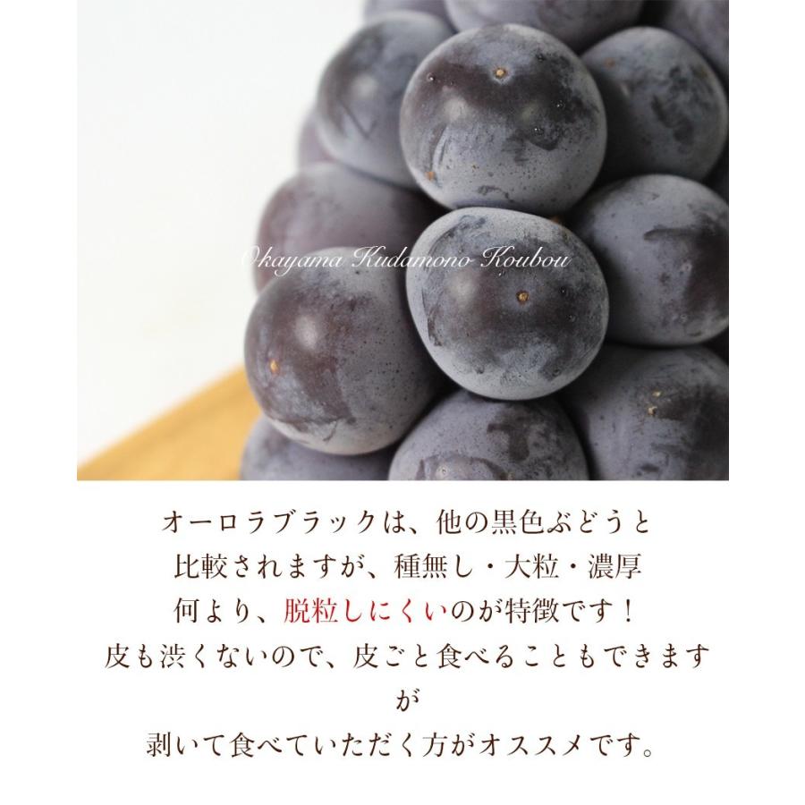 2025 ギフト オーロラブラック 岡山県産 贈答用 2房（500g×2房）贈答用