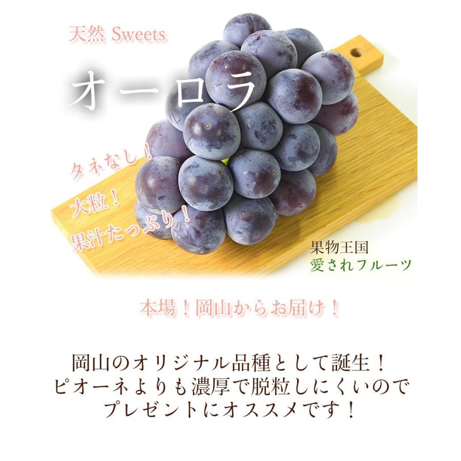 2026 ギフト オーロラブラック 1房700g 岡山県産 大房 贈答用 御中元