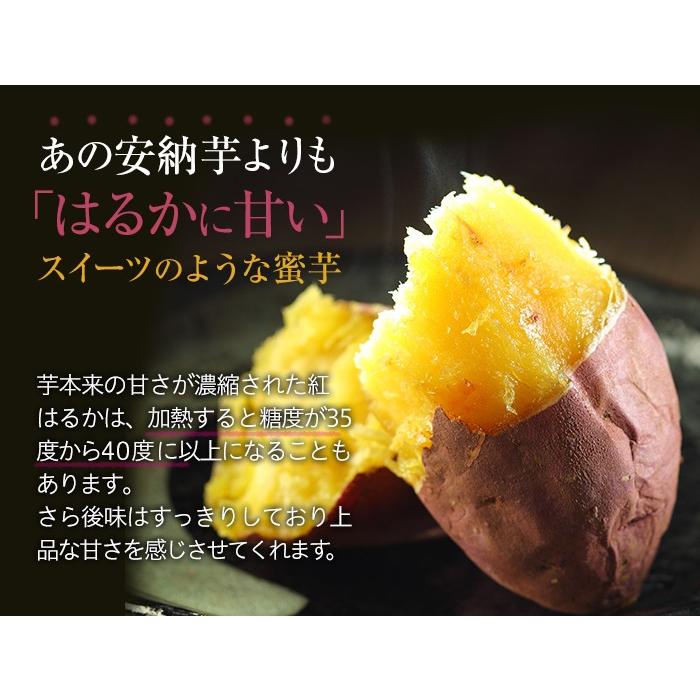 さつまいも 紅はるか 送料無料 4.5kg 熊本県産 べにはるか サツマイモ 紅蜜芋 焼き芋 芋 いも メーカー在庫限り品