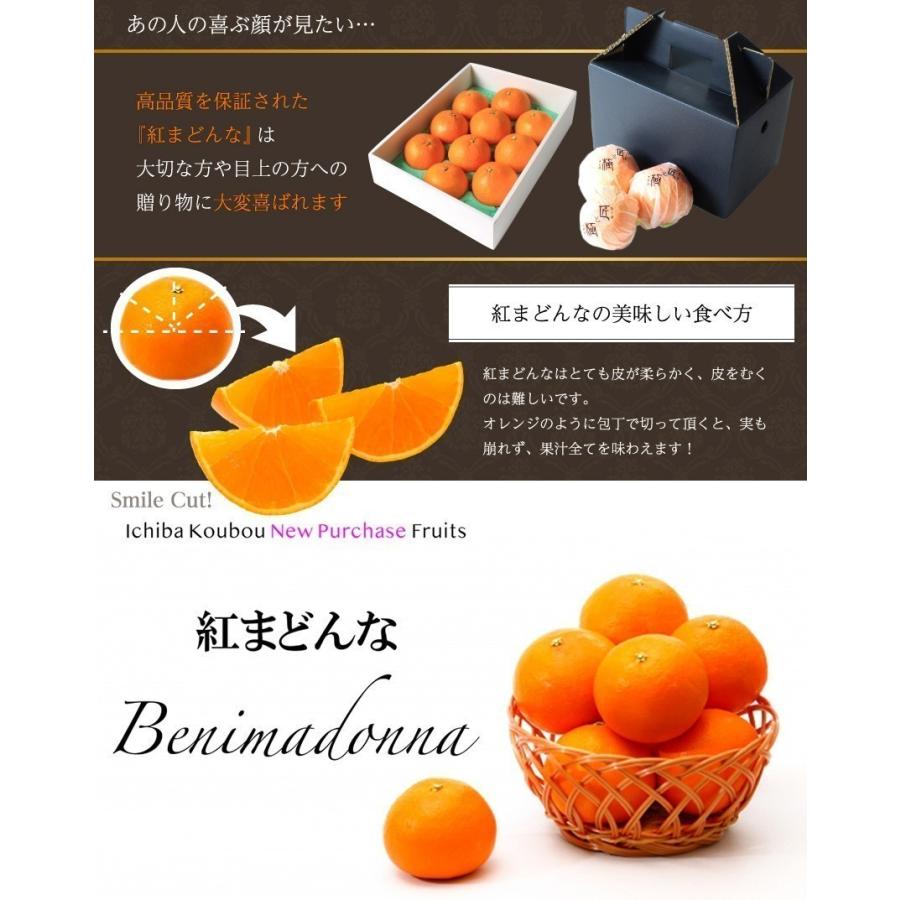 2025 お歳暮 ギフト 紅まどんな 匠と極 大玉 3玉入り 3L約900g 中島