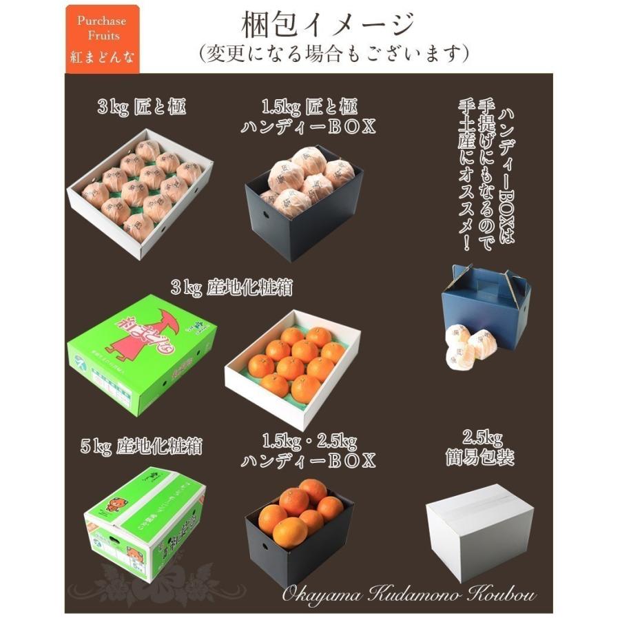 2025 お歳暮 ギフト 紅まどんな 匠と極 大玉 3玉入り 3L約900g 中島