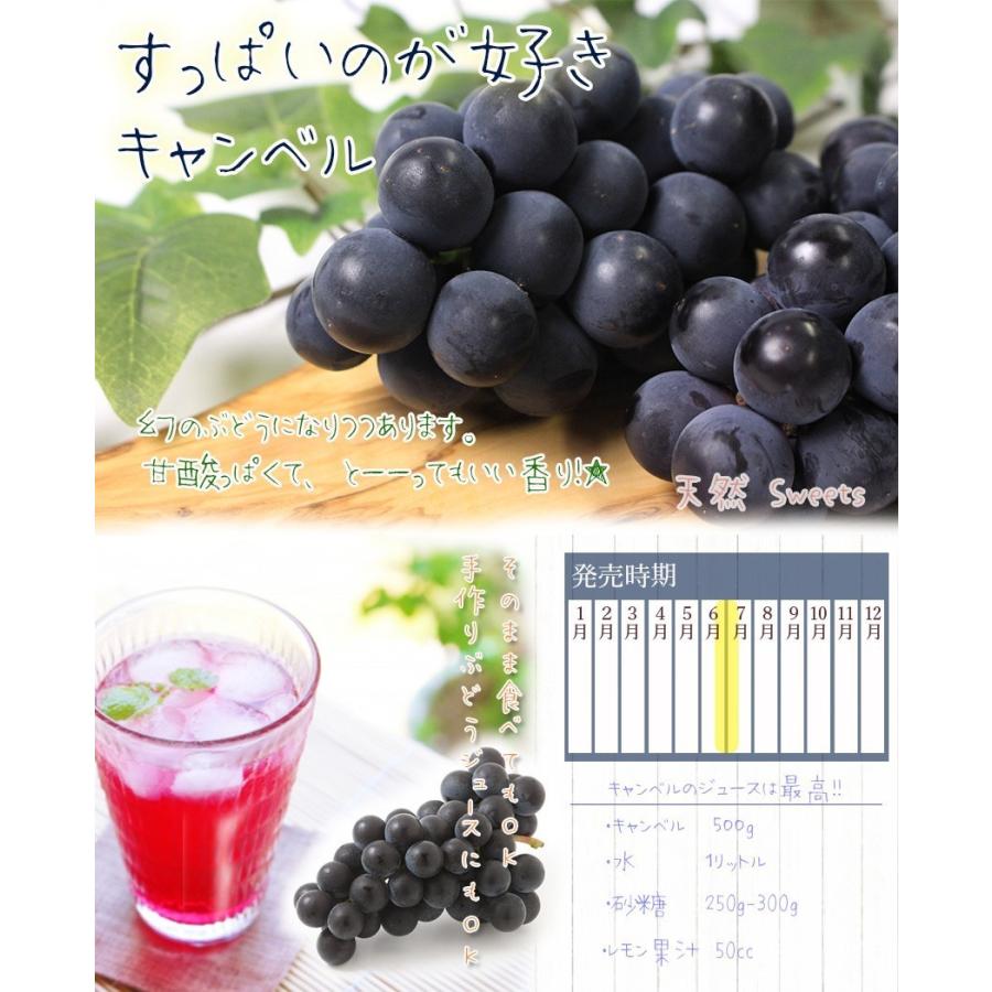 今宵キャンベル　秀品　4kg 岡山県産 キャンベル 秀品 1.0kg (3-6房) 希少 葡萄 ぶどう ブドウ