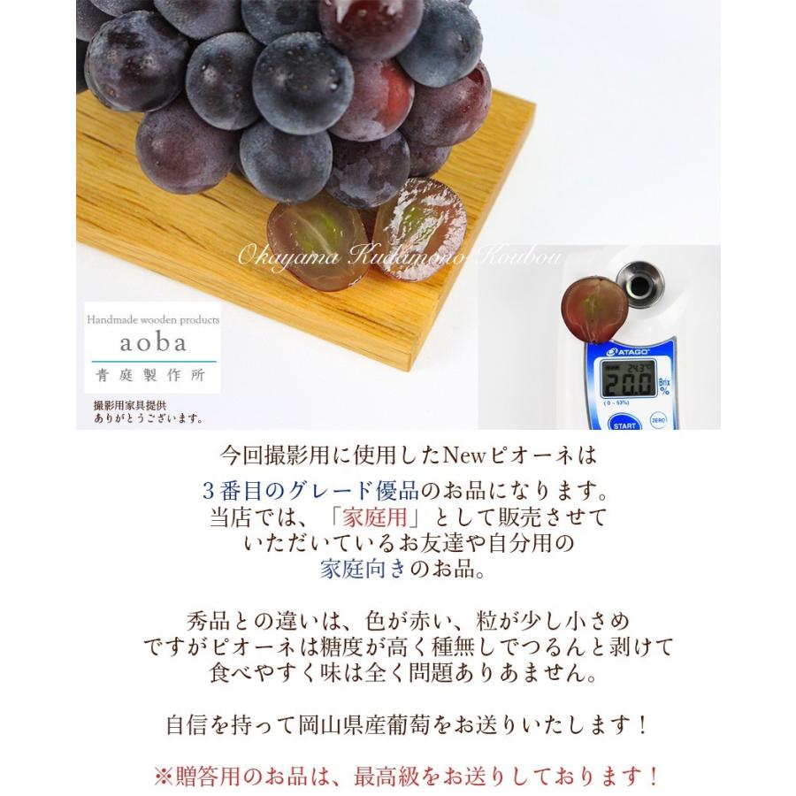 2023 ギフト 岡山県産 ピオーネ 赤秀品 ２房（500g×2房） 贈答用 御中元  葡萄 ぶどう ブドウ プレゼント 御礼 御祝 御供 果物 くだもの フルーツ｜ichiba-koubou｜05