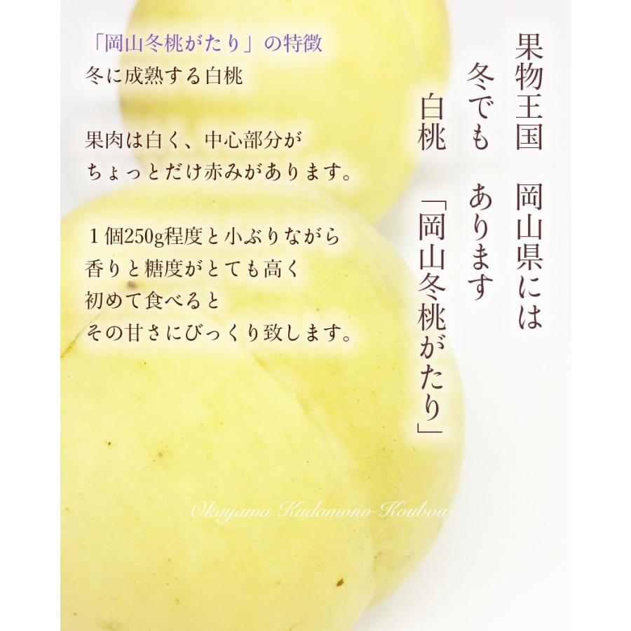 2025 ギフト 岡山 の 白桃 冬桃がたり ロイヤル5-9玉 約1.3kg 贈答用