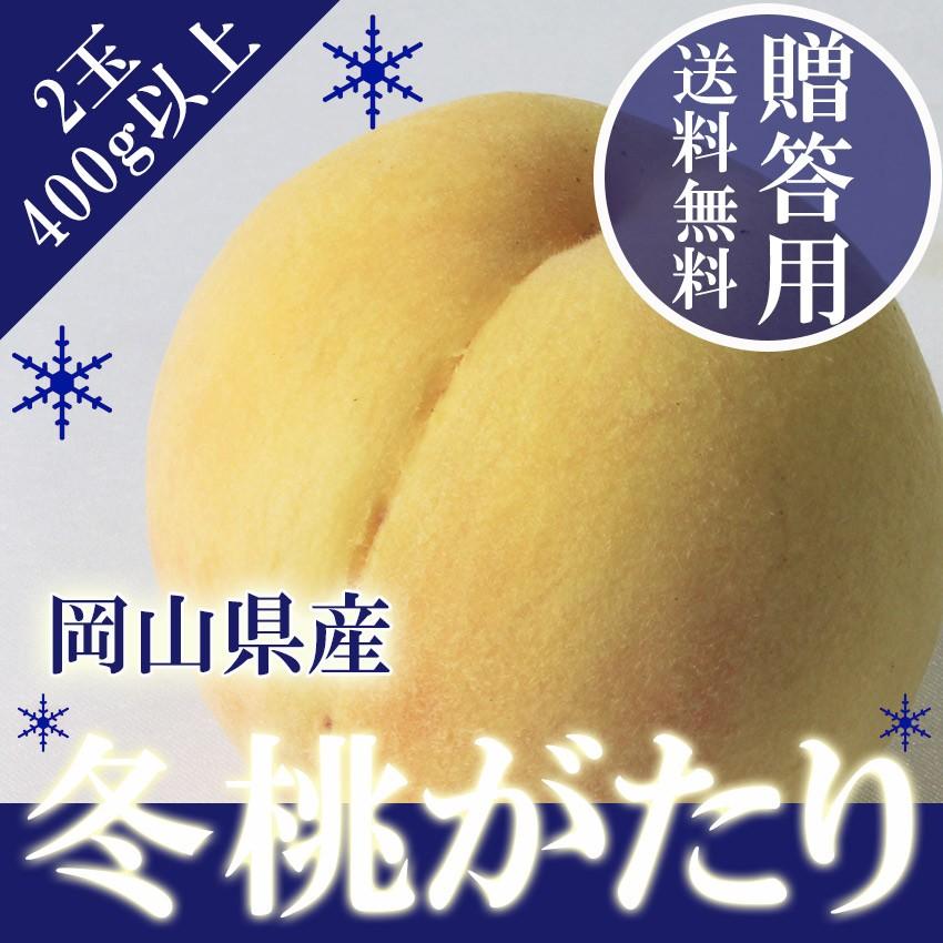 2023 ギフト  岡山 の 白桃 冬桃がたり ロイヤル2玉 約400g以上 贈答用 天然 スイーツ 御礼 御祝 フルーツ 【11月下旬ごろより発送】｜ichiba-koubou