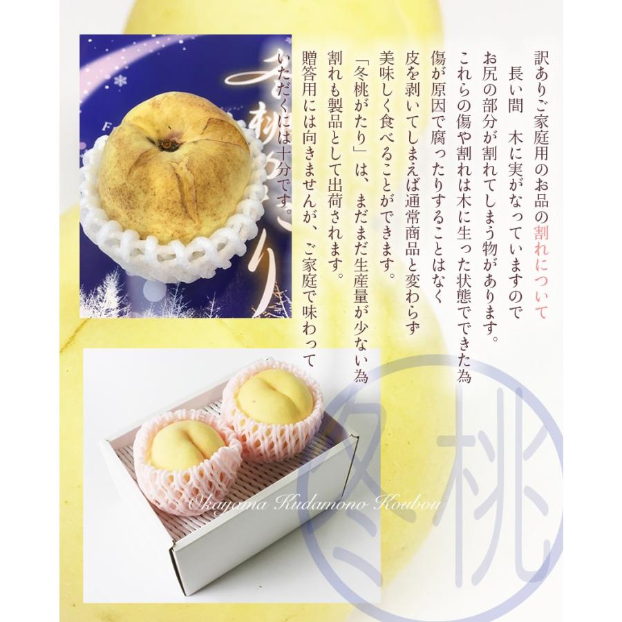 お歳暮 ギフト 送料無料 岡山 の 白桃 冬桃がたり ロイヤル３玉 約600g以上 贈答用 天然 スイーツ 果物 フルーツ 11月下旬ごろより発送 Fuyumomo3 01 岡山市場工房 通販 Yahoo ショッピング