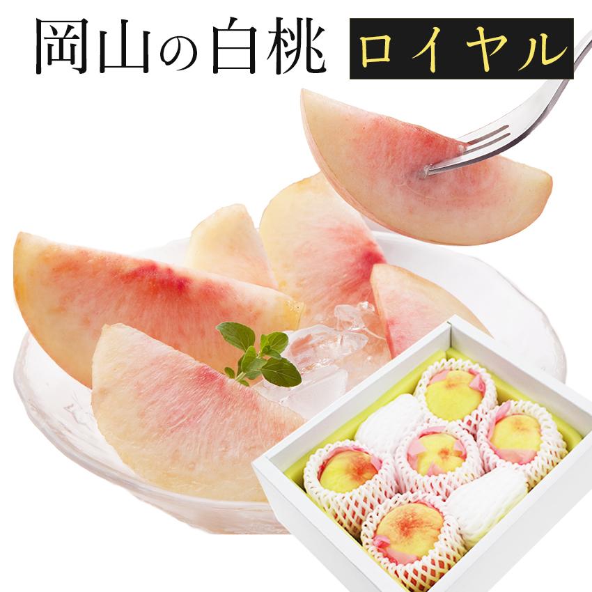 2026 お中元 ギフト 岡山 白桃 中玉 5〜6玉入り 約1.5kg ロイヤル 贈答