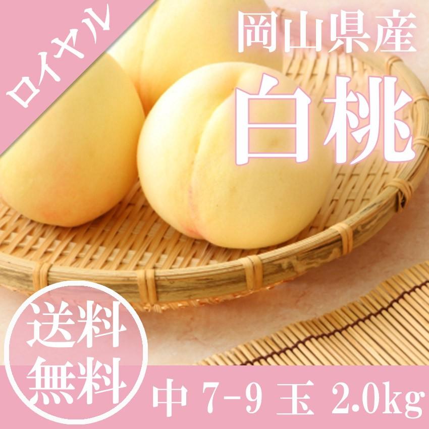 2023 ギフト 岡山 白桃 贈答用 中玉 7〜9玉入り 約2.0kg ロイヤル 秀品 桃 御中元 ギフト 御礼 御礼 御祝 御供 果物 フルーツ ※品種指定不可｜ichiba-koubou