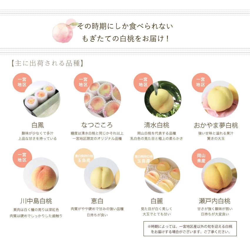 2026 お中元 ギフト 岡山 白桃 中玉 7-9玉入り 約2.0kg ロイヤル 贈答用 赤秀品 桃 御中元 ギフト 御礼 御礼 御祝 御供 果物 フルーツ ※品種指定不可の画像