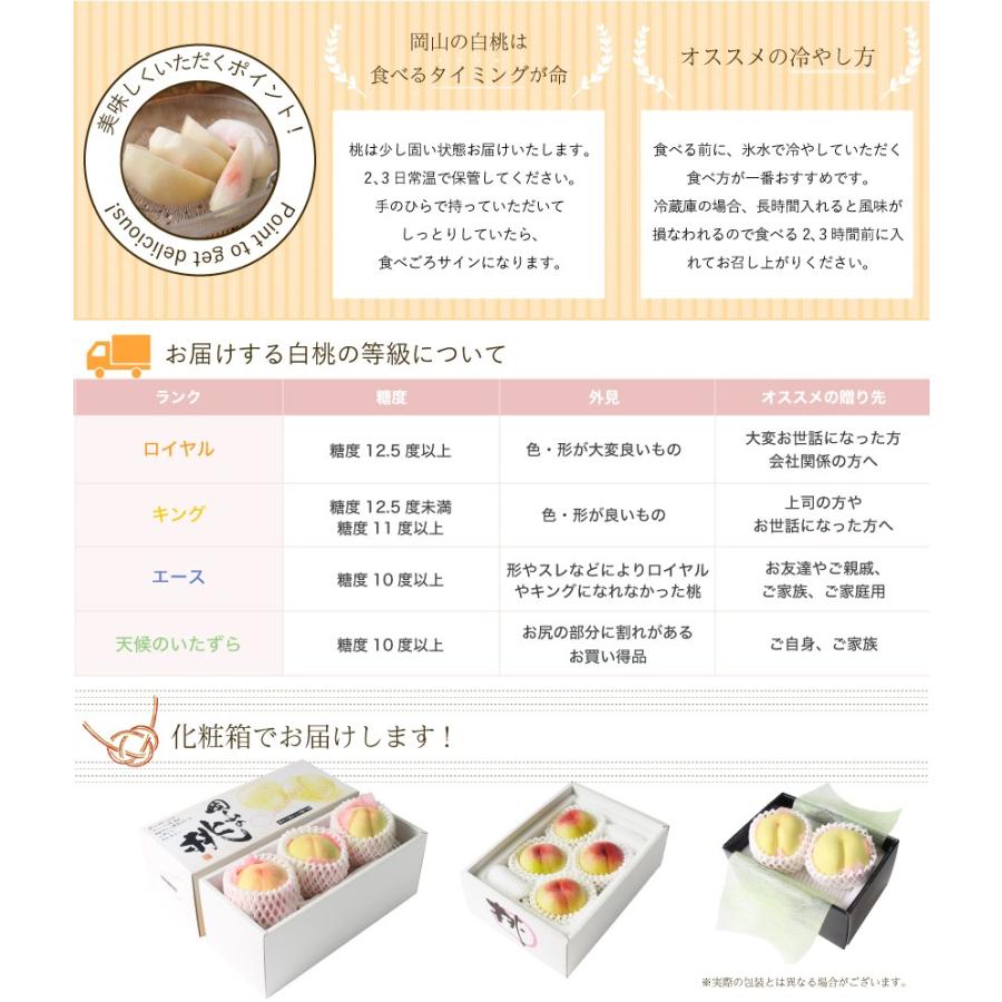 2026 お中元 ギフト 岡山 白桃 中玉 7-9玉入り 約2.0kg ロイヤル 贈答用 赤秀品 桃 御中元 ギフト 御礼 御礼 御祝 御供 果物 フルーツ ※品種指定不可の画像