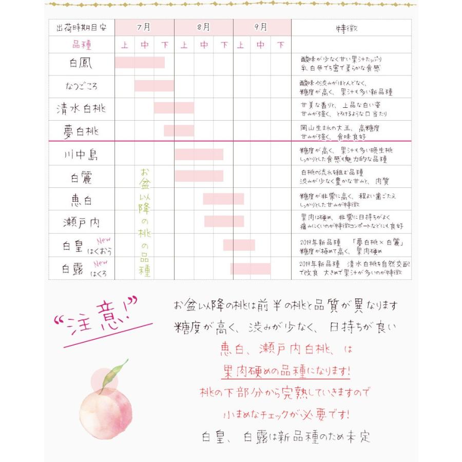 2026 お中元 ギフト 岡山 白桃 中玉 7-9玉入り 約2.0kg ロイヤル 贈答用 赤秀品 桃 御中元 ギフト 御礼 御礼 御祝 御供 果物 フルーツ ※品種指定不可の画像