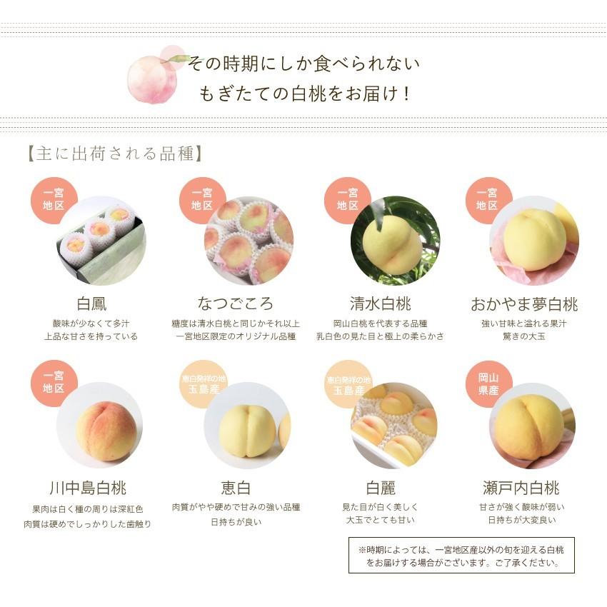 2026 お中元 ミニギフト 岡山 白桃 小玉5-7玉入り 約1.0kg 秀品 贈答用