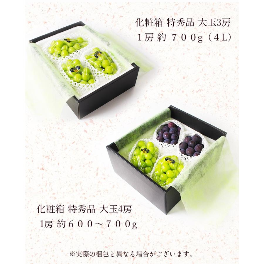 2024 ギフト 岡山県産 シャインマスカット 晴王 ピオーネ 赤秀品 4房  