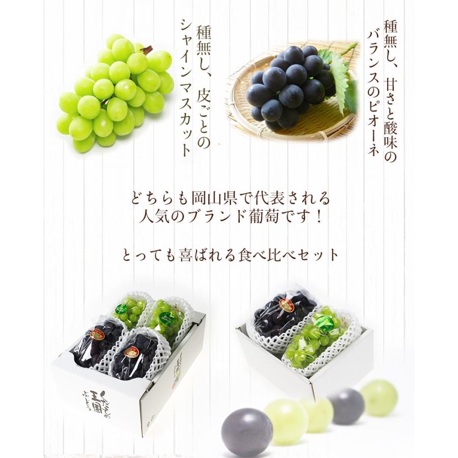 2025 ギフト 岡山県産 シャインマスカット 晴王 ピオーネ 赤秀品 2房 (400g&times;2) 贈答用 御中元 葡萄 ブドウ ぶどう 果物 フルーツ