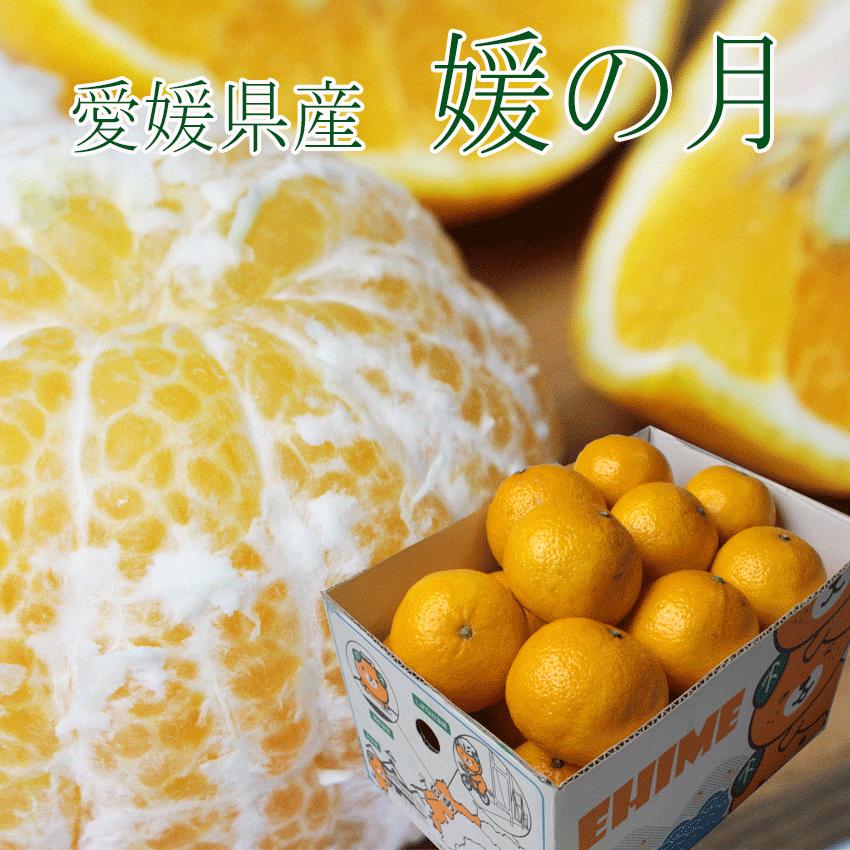 お試し価格 みかん 媛の月 秀品 2 5kg M 3l 贈答用 愛媛県 Jaえひめ中央 ギフト 姫之月 ミカン プレゼント 御礼 送料無料 Himenotuki25 01 岡山市場工房 通販 Yahoo ショッピング