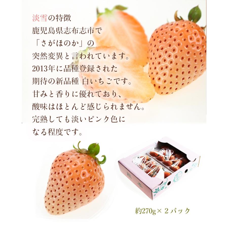 淡雪 白いちご 270g 2大粒 大きさおまかせ L以上 贈答用 熊本県産 イチゴ 苺 ギフト 送料無料 岡山果物工房 I K 001 岡山市場工房 通販 Yahoo ショッピング