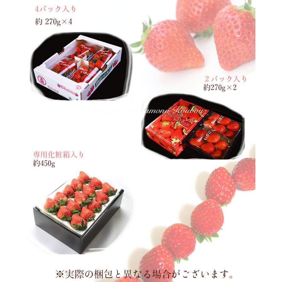 甘い苺 / 岡山県 大玉 苺 8〜15粒 イチゴ 贈答 ギフト 甘い苺 / 岡山県 大玉 苺 8〜15粒 イチゴ 贈答 ギフト