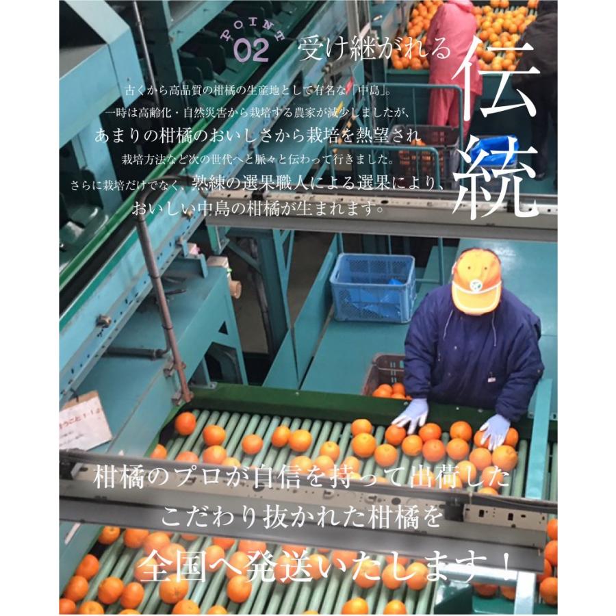 在庫SALE 甘平 （ かんぺい ） 青秀 3Lサイズ以上 4.5kg 贈答用 愛媛県
