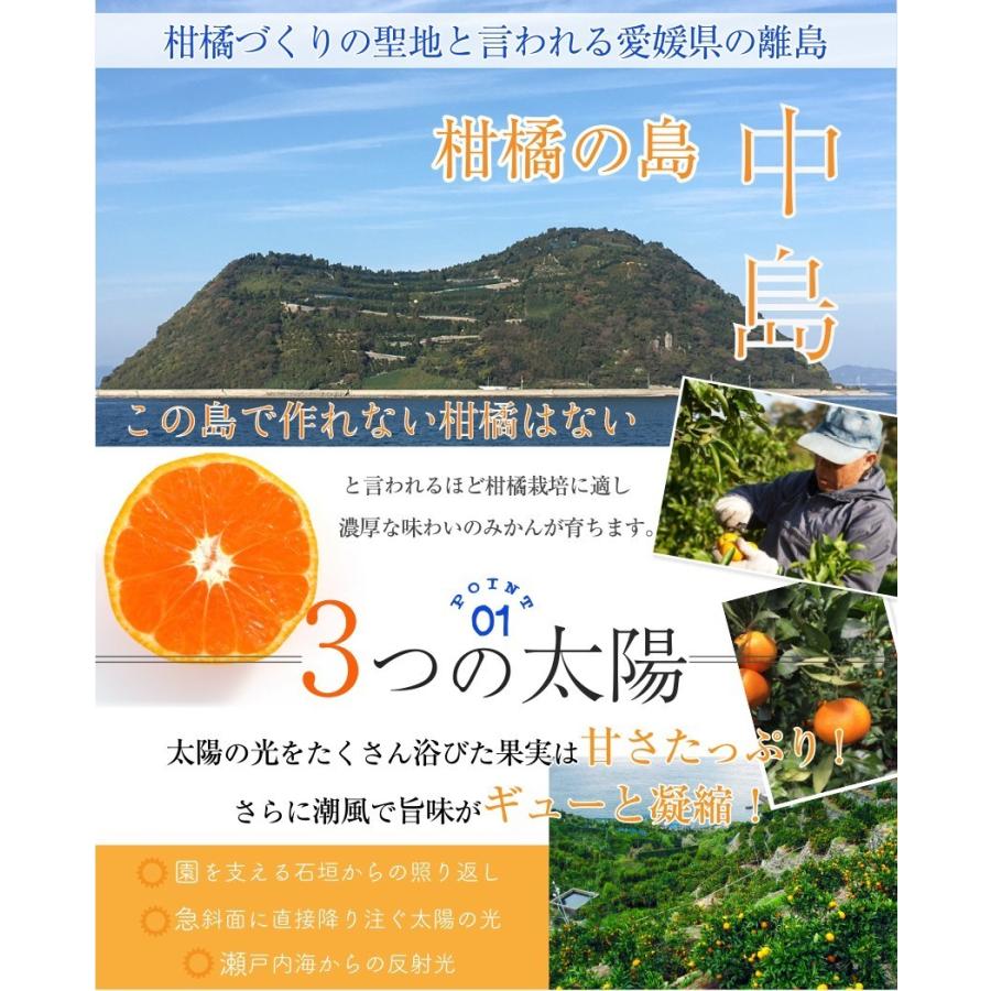 みかん 甘平 （ かんぺい ） 中島産 匠と極 3玉３L 贈答用 愛媛県 JAえひめ中央 ギフト ミカン プレゼント 御礼 御祝 フルーツ｜ichiba-koubou｜06