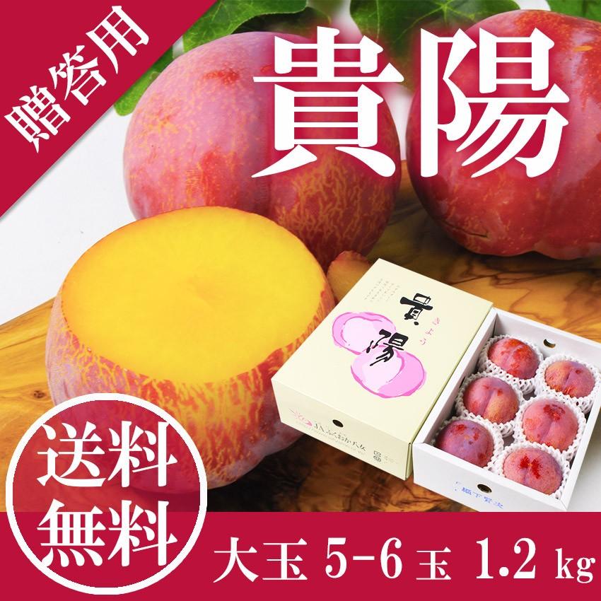 2025 お中元 貴陽 スモモ 1.2kg 大玉4-6玉 JAふくおか八女 福岡県産