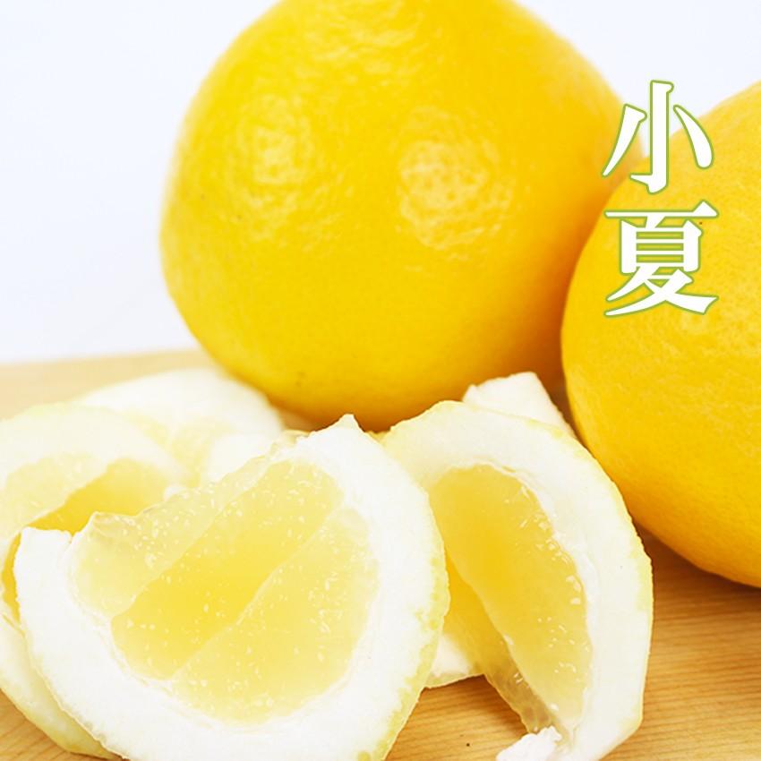 在庫SALE 小夏 みかん 大きさおまかせ 5kg 高知県 訳あり 自宅用 土佐