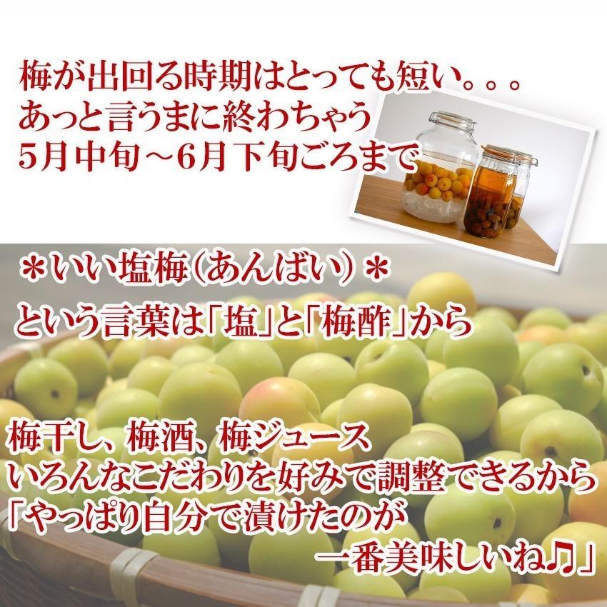小梅 品種大きさ産地お任せ 秀品 約4kg 白王 竜峡 甲州 七折 他 梅