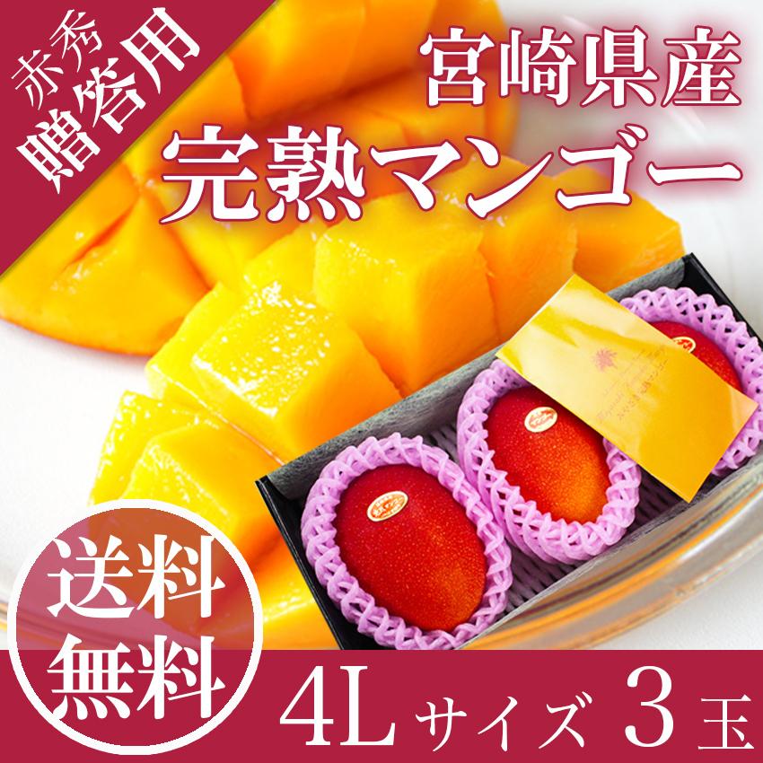 宮崎 マンゴー 特大4L3玉 赤秀品 宮崎県産 贈答用 ギフト 母の日 父の