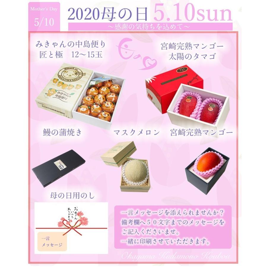 宮崎 マンゴー 特大4L3玉 赤秀品 宮崎県産 贈答用 ギフト 母の日 父の