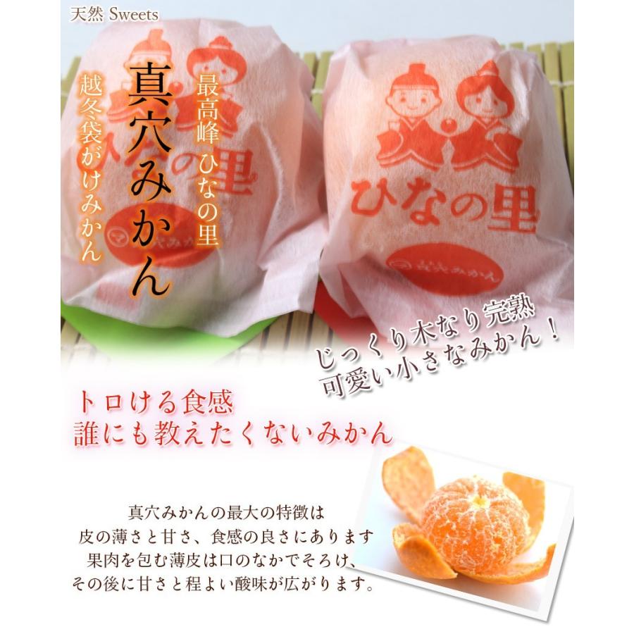 みかん 真穴みかん ひなの里 袋入り玉 約1 2kg 愛媛 八幡浜 贈答用 ギフト ミカン 岡山市場工房 Maana 01 岡山市場工房 通販 Yahoo ショッピング
