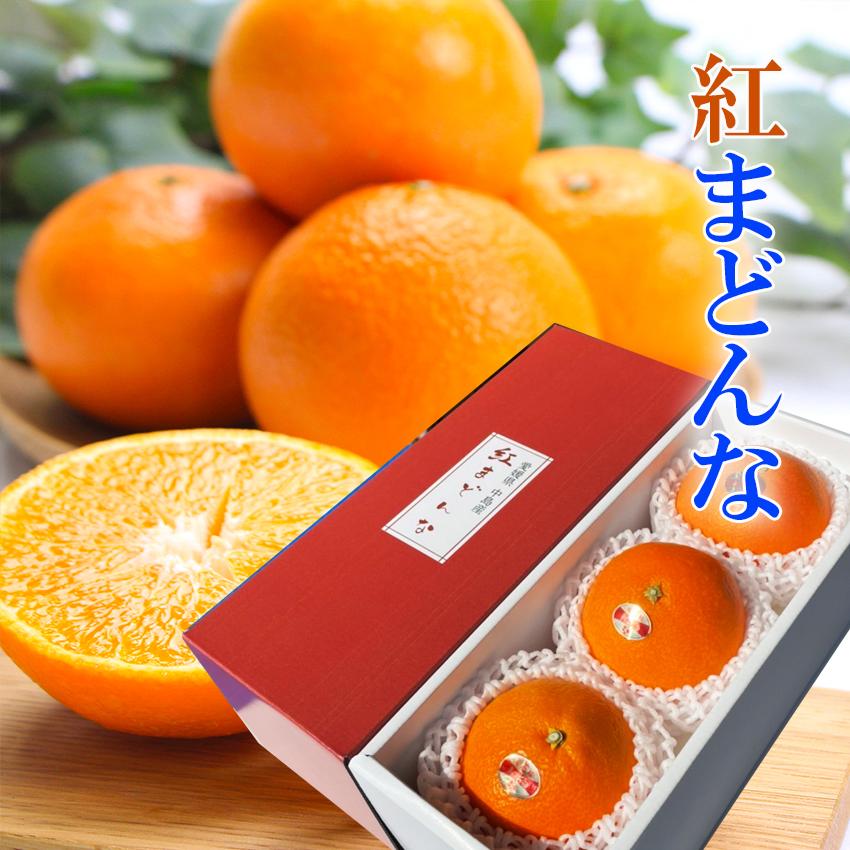 2026 お歳暮 ギフト 紅まどんな 中玉 3玉入り 約750g 青秀2Lサイズ