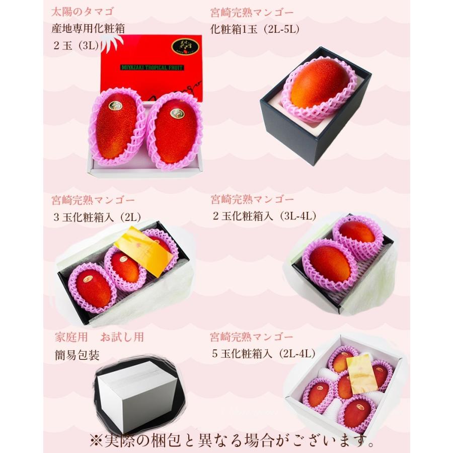 完熟 マンゴー 2L2玉 赤秀品 宮崎県産 贈答用 ギフト 母の日 父の日