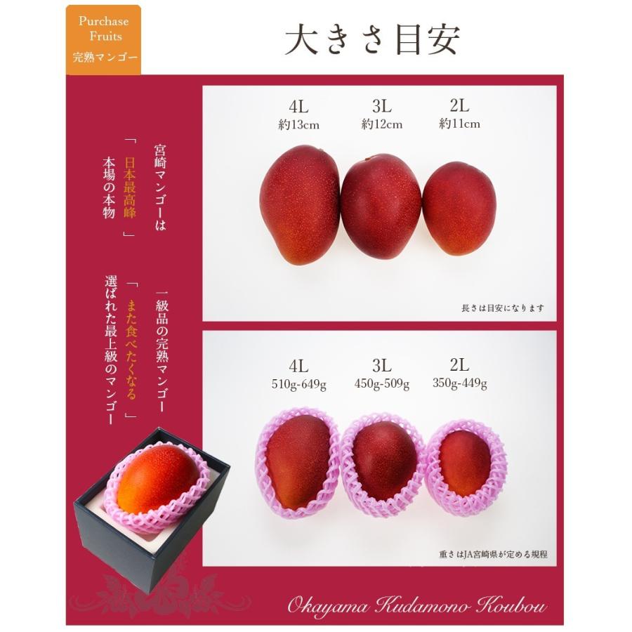 完熟 マンゴー 3L3玉 赤秀品 宮崎県産 贈答用 ギフト 母の日 父の日