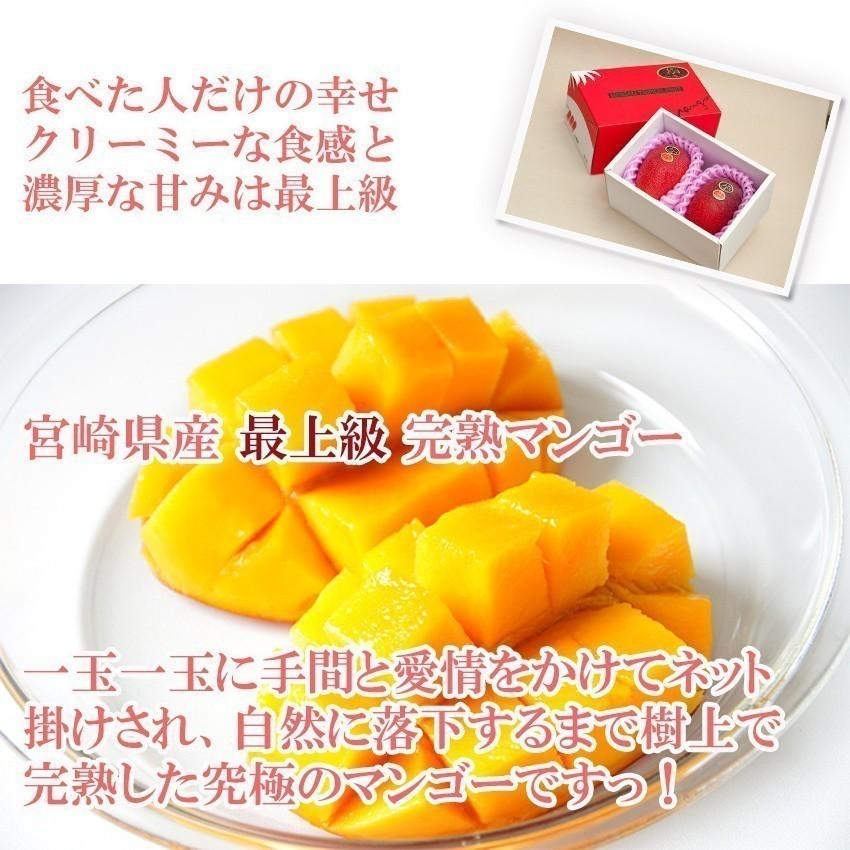 宮崎 完熟 マンゴー 4L8玉 赤秀品 宮崎県産 贈答用 ギフト 母の日 父の