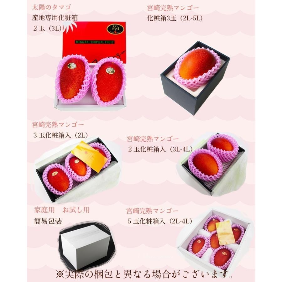 宮崎 完熟 マンゴー 4L8玉 赤秀品 宮崎県産 贈答用 ギフト 母の日 父の