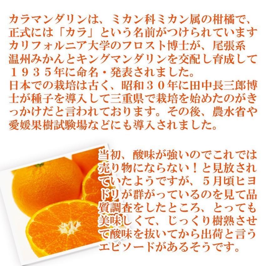 2025年 カラマンダリン 『みきゃんの中島便り』 匠と極 11〜14玉 JA