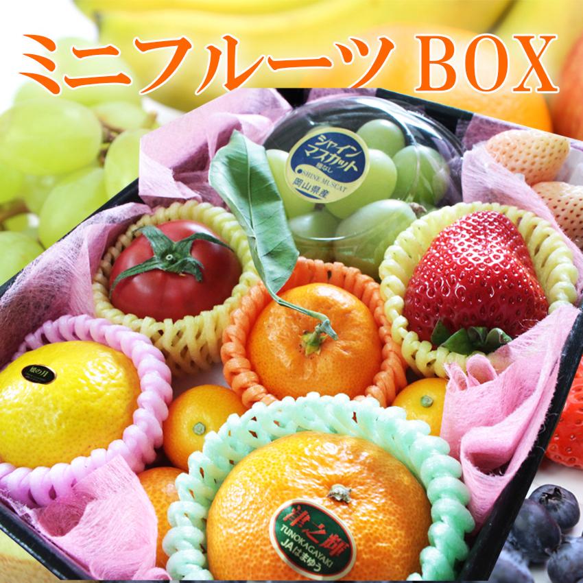 ミニフルーツBOX 【10個入り】季節フルーツ 7-10種類 詰合わせ ミニフルーツBOX 【10個入り】季節フルーツ 7-10種類 詰合わせ