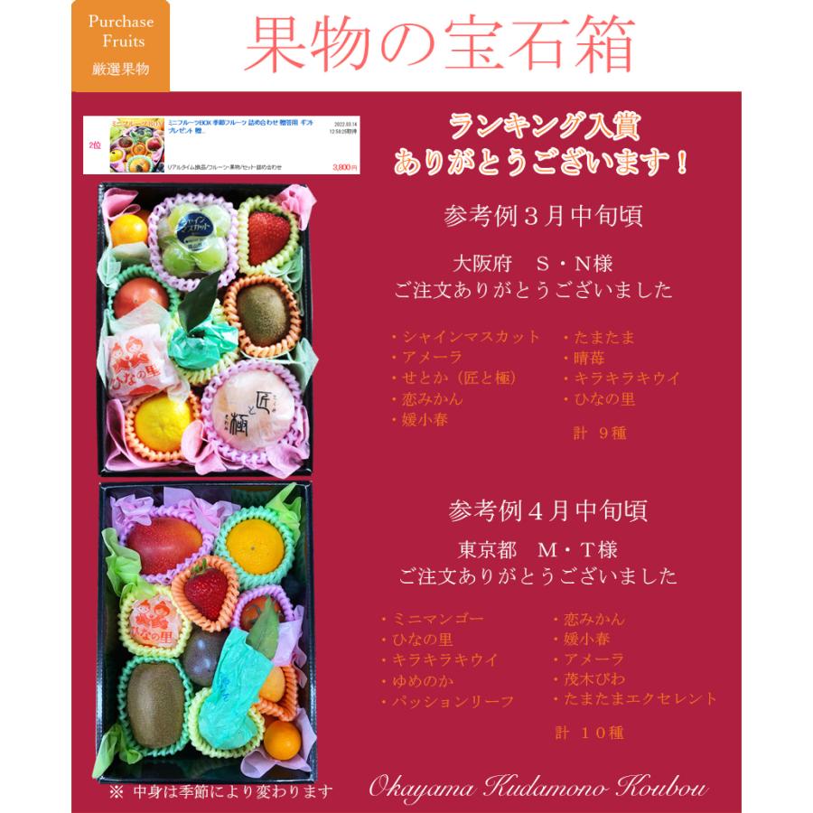 ミニフルーツBOX 【10個入り】季節フルーツ 7-10種類 詰合わせ 贈答用