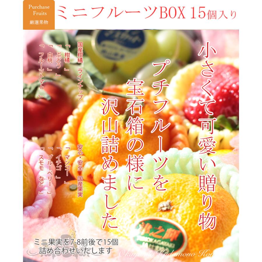ミニフルーツBOX【15個入り】 季節フルーツ 詰合せ 7-10種 贈答用